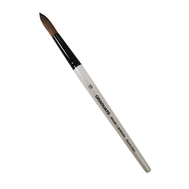 Daler Rowney Graduate Round Tip Brushes In Large Sizes No.18 The Stationers